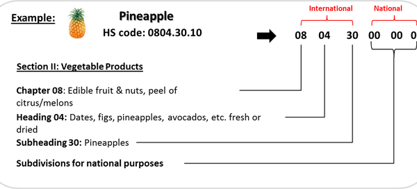 hs-code-example