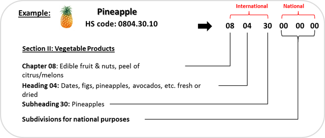 hs-code-example