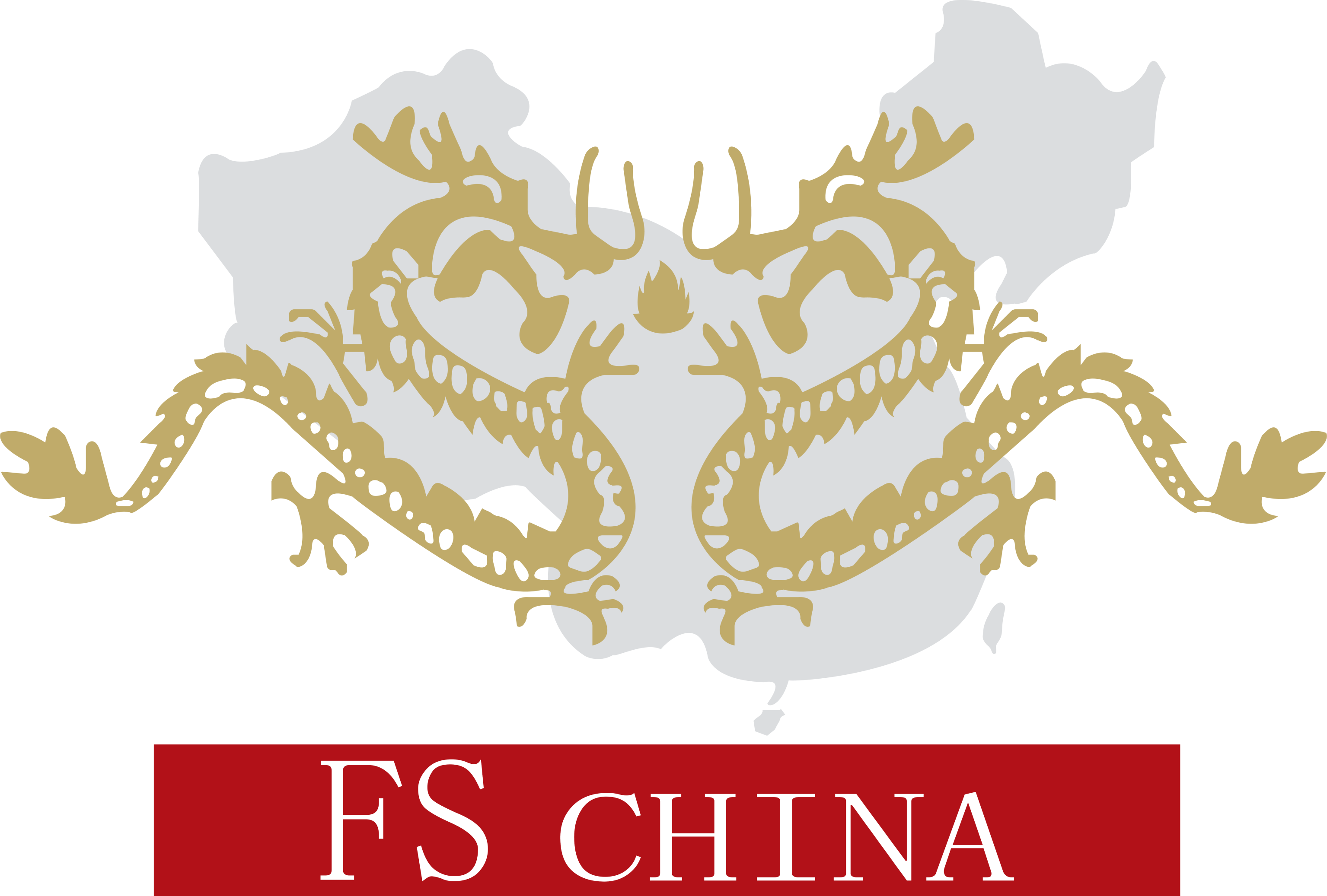 logo FS 2