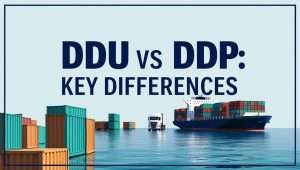 DDU vs DDP
